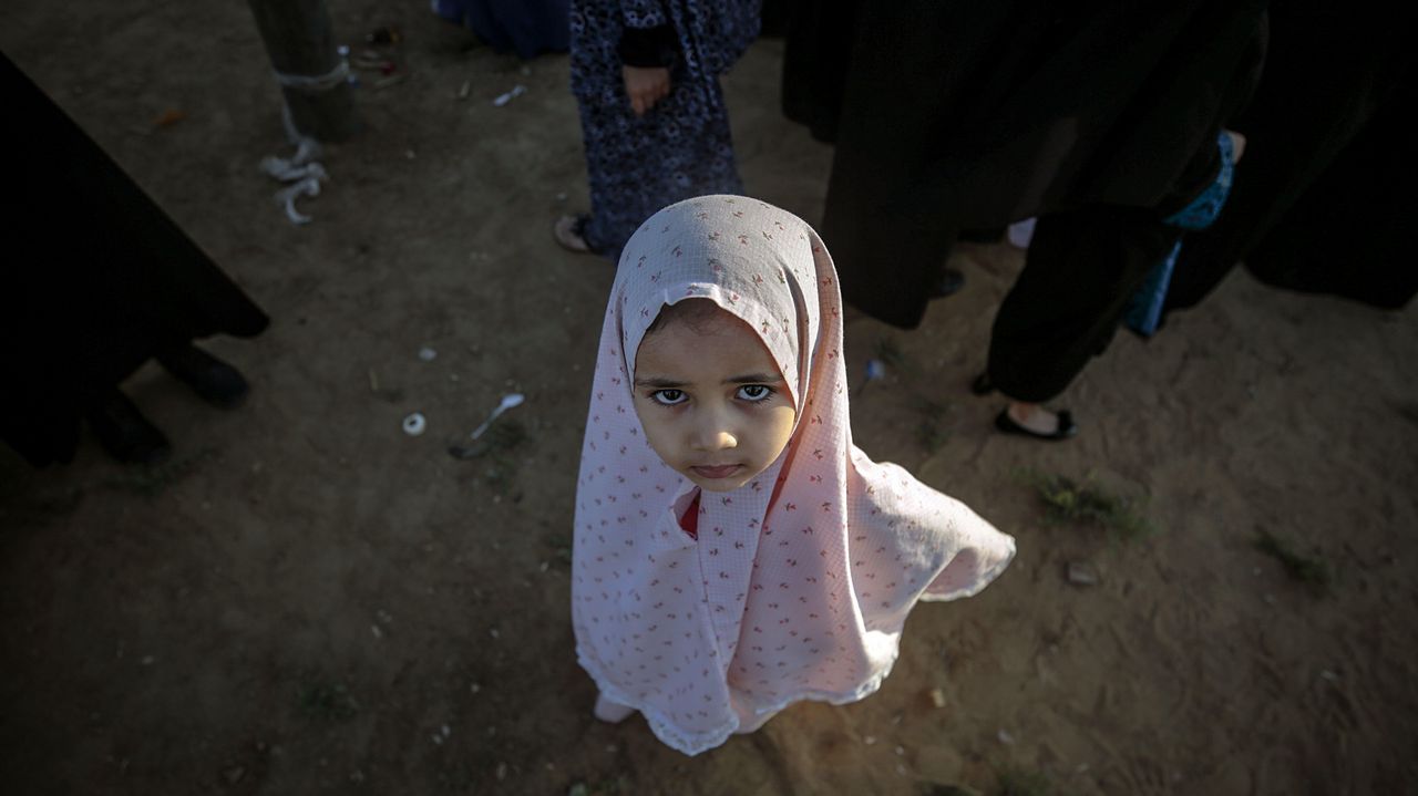 Las im�genes del d�a.