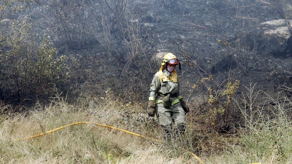 Incendio forestal en Aguasantas