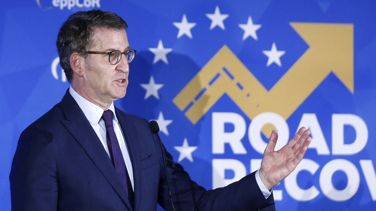 El l�der del PP, Alberto N��ez Feijoo, durante su intervenci�n en la conferencia del Partido Popular Europeo.