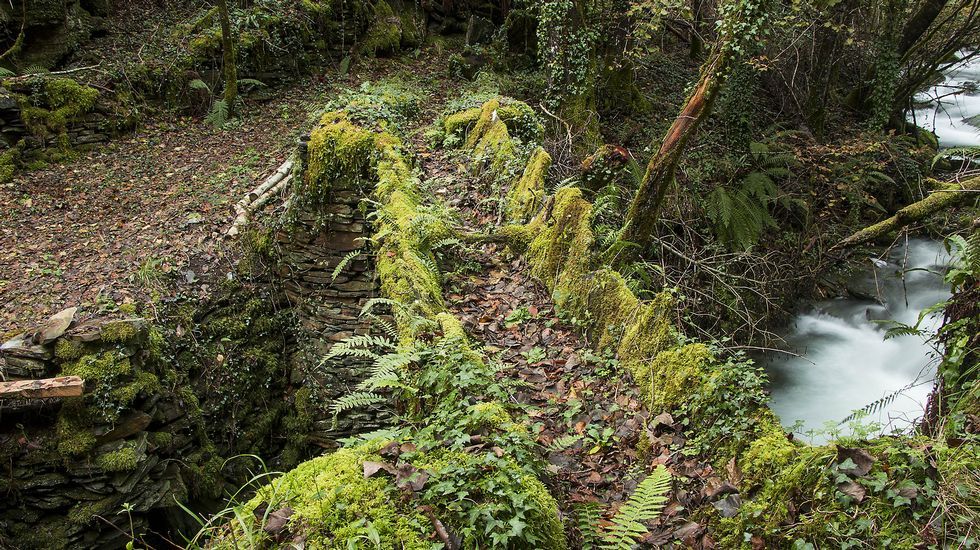 Un singular acueducto de madera y pizarra sobre el río Seceda, que sirvió para regar varios prados de la zona