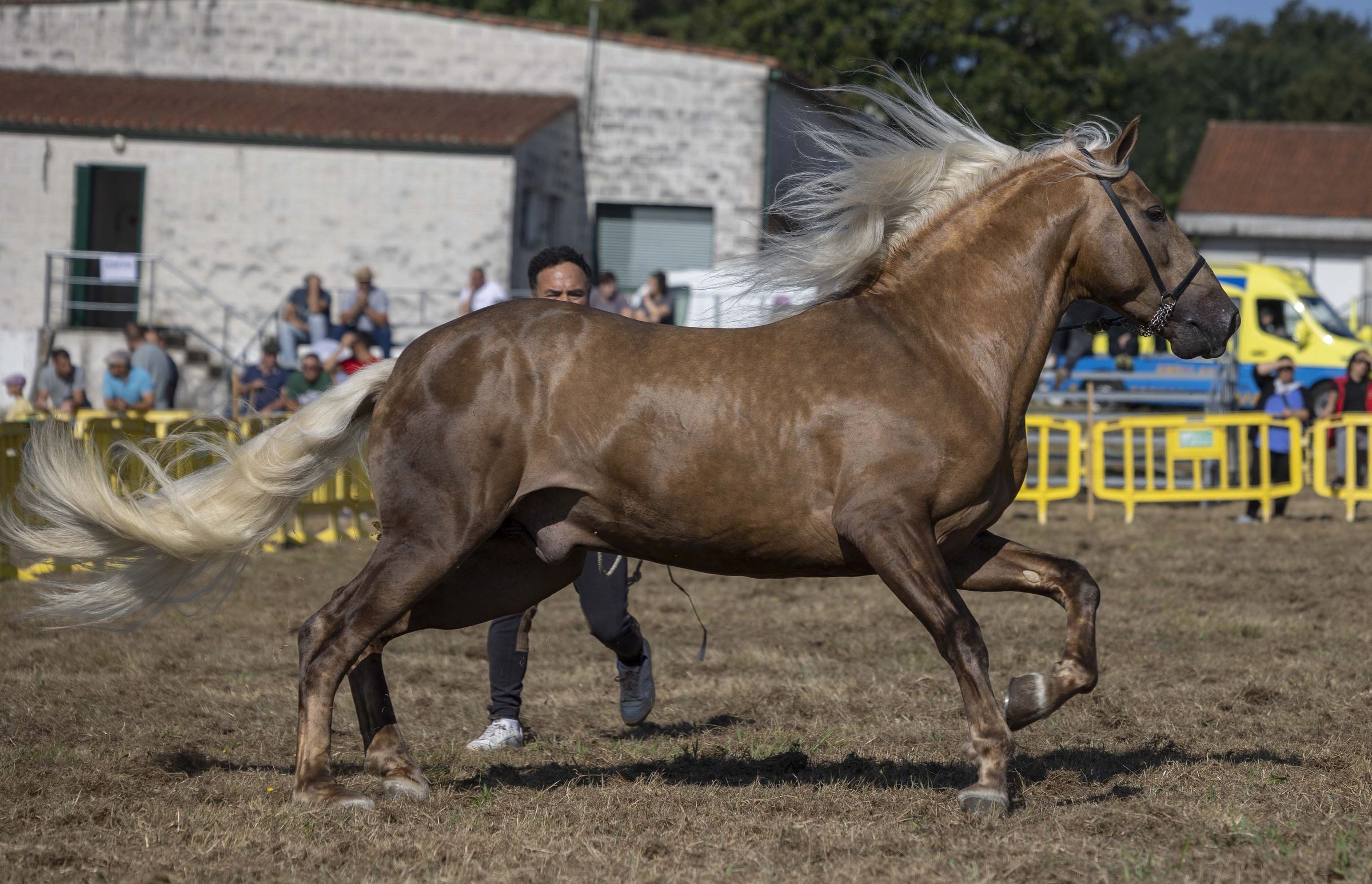 Concurso cabalar en Ribas, Teo. 25/08/2024