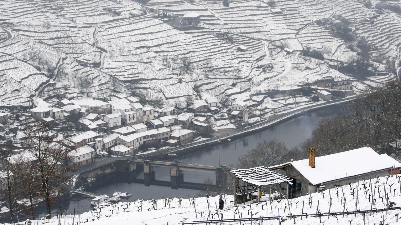 La nieve que deja el temporal cubre los bancales de las viñas de la Ribeira de Belesar.