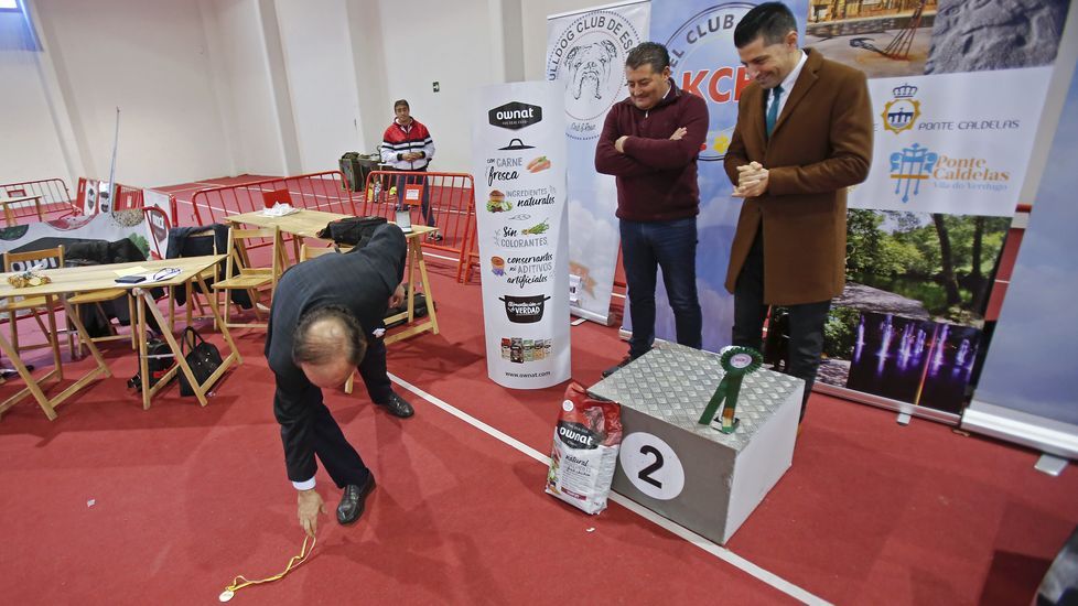 III Exposición Internacional Canina de Ponte Caldelas
