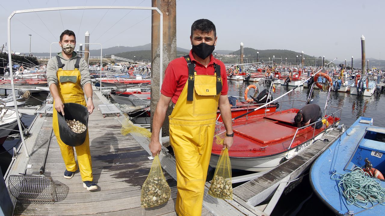 Ultimo dia de la campaña marisquera de Noia