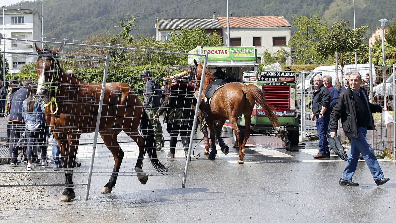 Feria caballar en las Fiestas de San Marcos 2019
