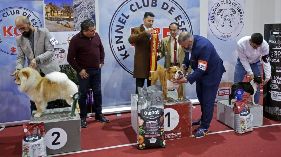 III Exposición Internacional Canina de Ponte Caldelas