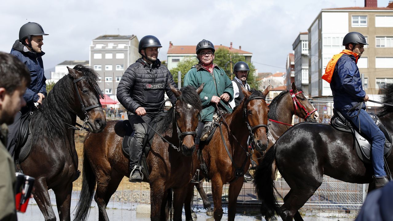 Feria caballar en las Fiestas de San Marcos 2019