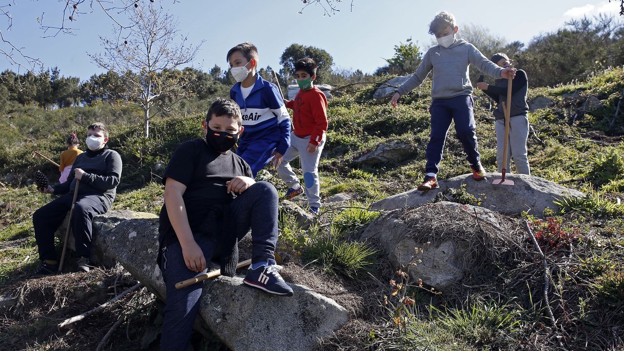 La comunidad de montes de Baroña continua con su bosque comestible