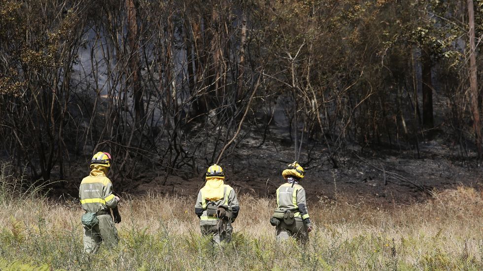 Incendio forestal en Aguasantas
