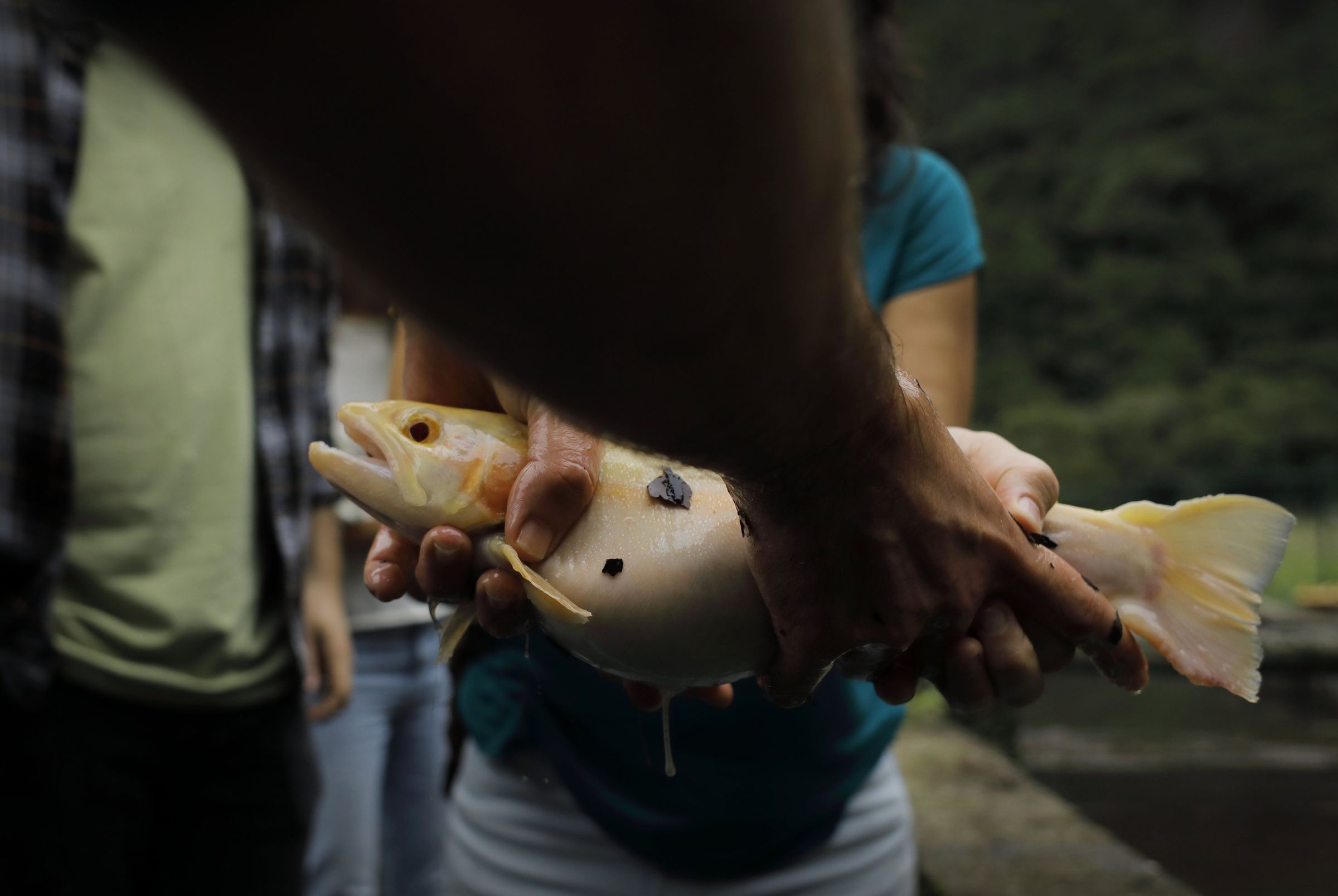 El aeropuerto internacional Cristiano Ronaldo (anteriormente conocido como Funchal) es el aer�dromo de Madeira