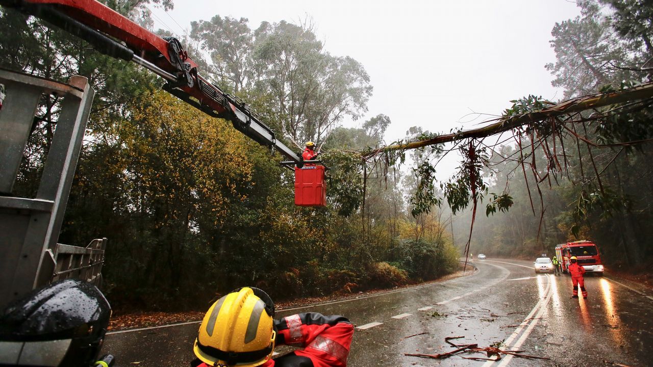 .Árbol caído sobre el tendido eléctrico en Mos