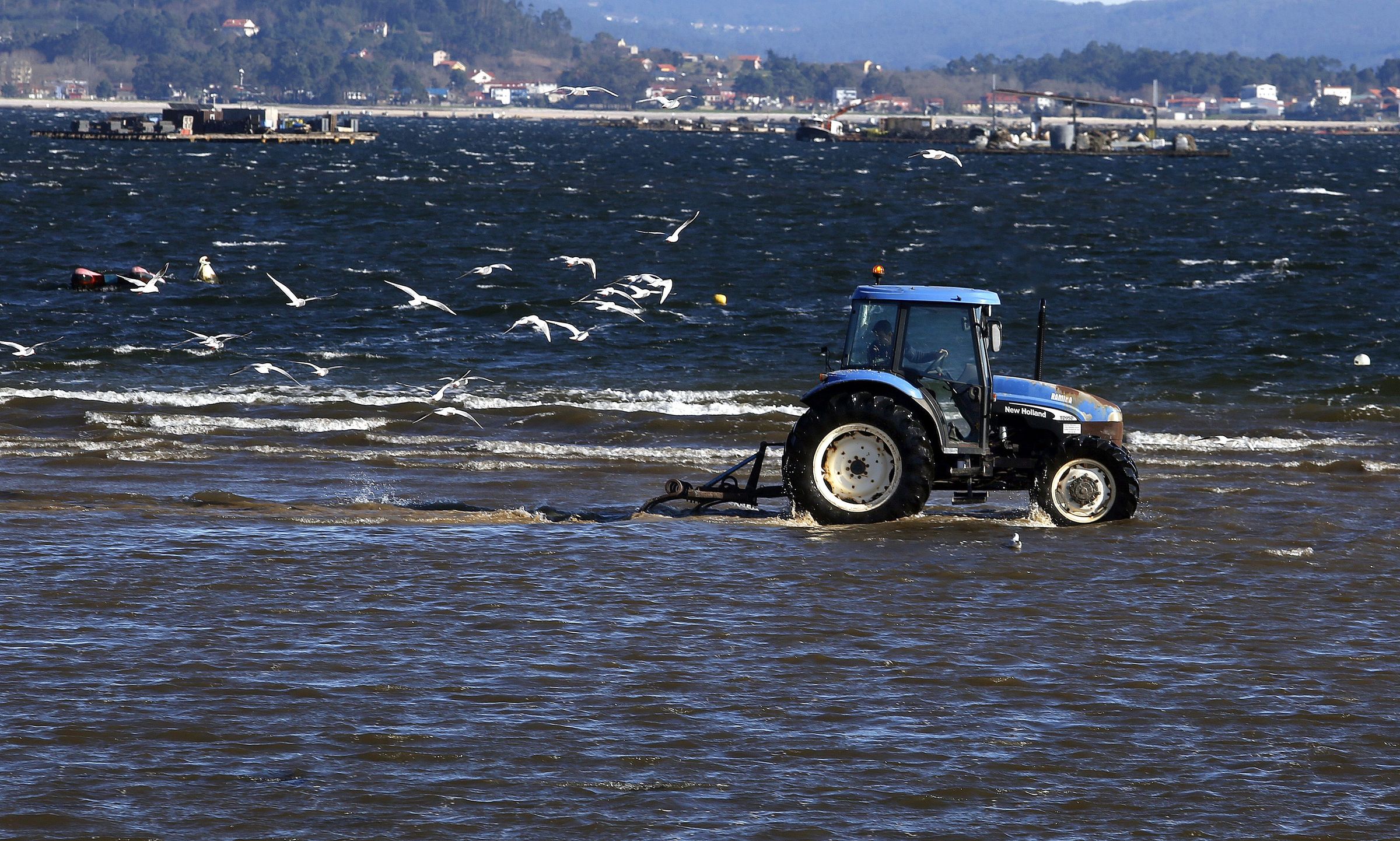 A cofrad�a pobrense muestrea as s�as concesi�ns para valorar o impacto da auga doce no marisco. 23/01/2023