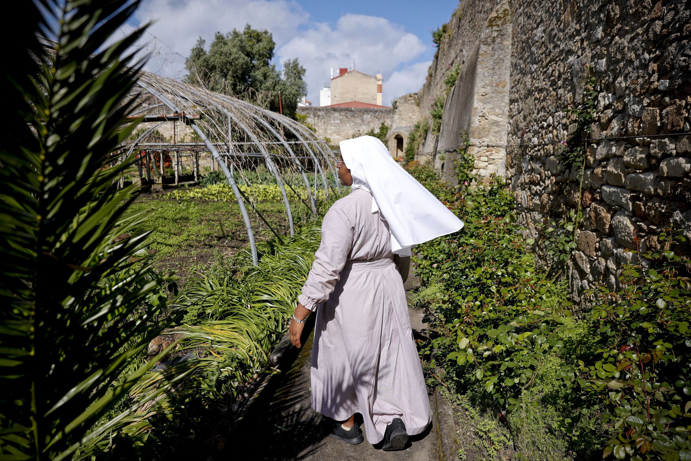 Las monjas cultivan en el huerto todo tipo de verduras y tub�rculos de temporada.�Esos productos los�utilizan para autoconsumo aunque algunos, como los limones, tambi�n los usan para la elaboraci�n de sus famosos postres.