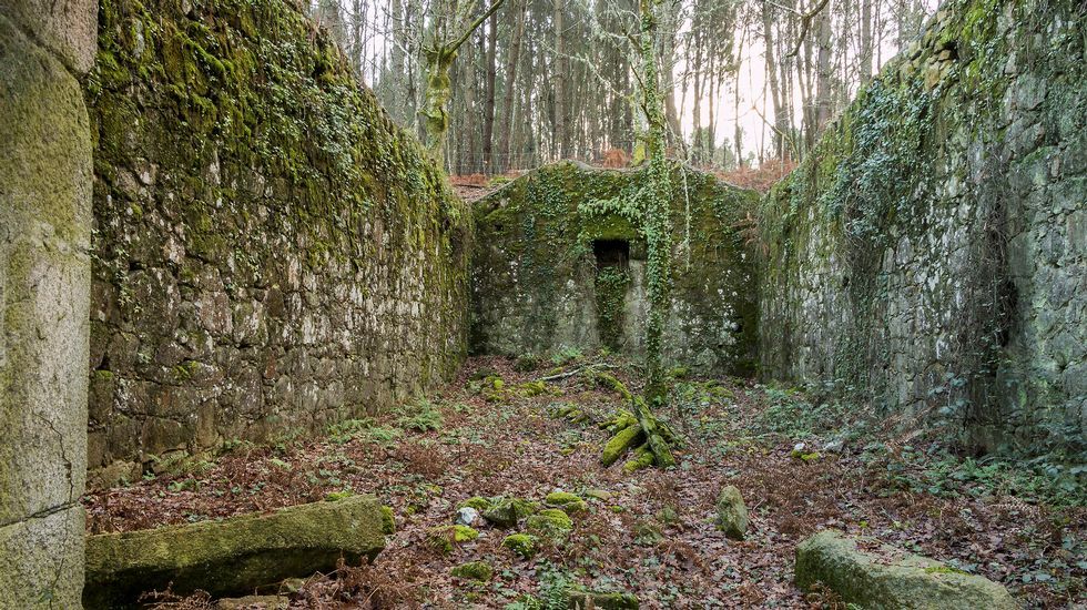 Una vista del interior de las ruinas de la gran bodega de la Casa da Fonte