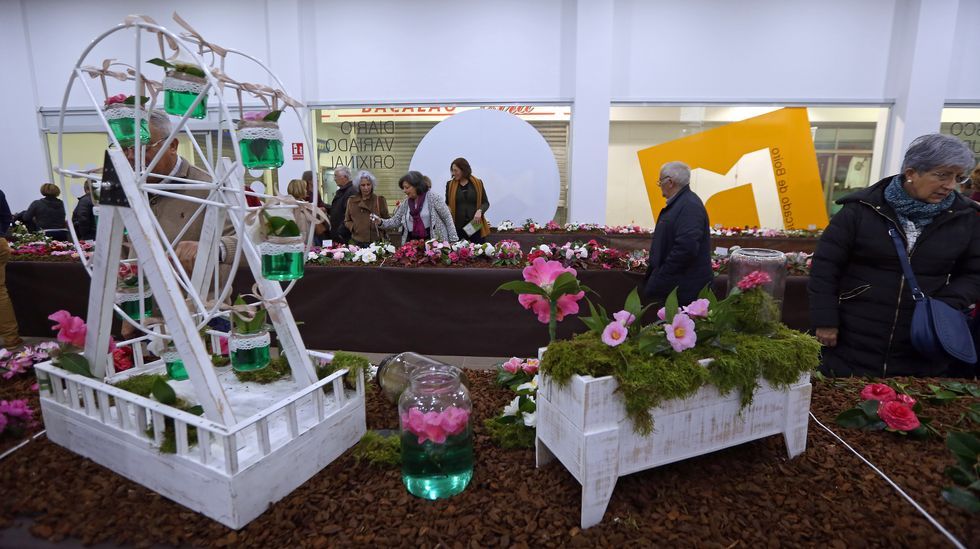 Exposición de la camelia en Boiro