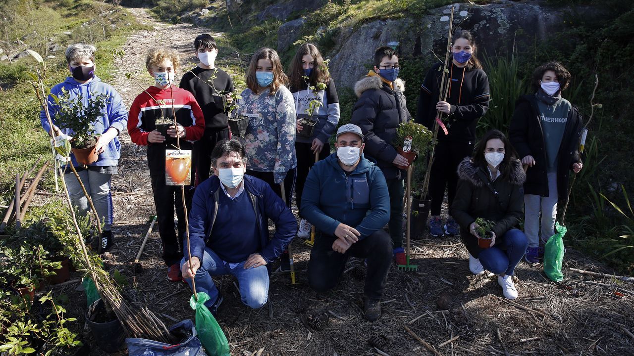La comunidad de montes de Baroña continua con su bosque comestible