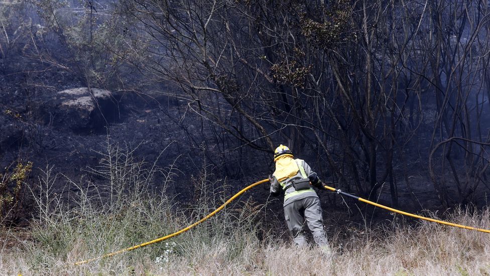 Incendio forestal en Aguasantas