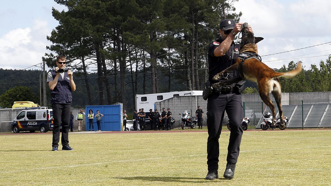 Exhibicion de la Policía Nacional para los escolares de Ribeira con helicoptero, caballería, perros de rastreo