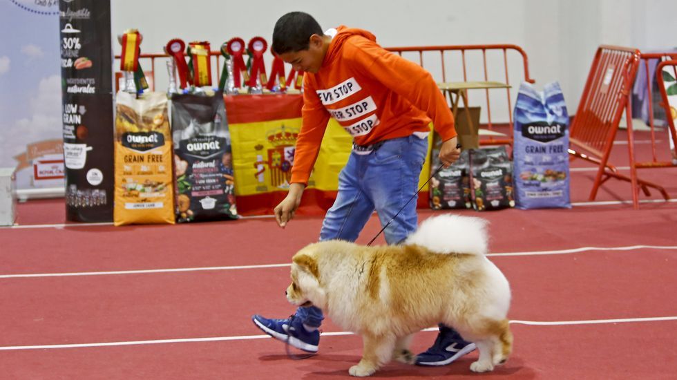 III Exposición Canina de Ponte Caldelas