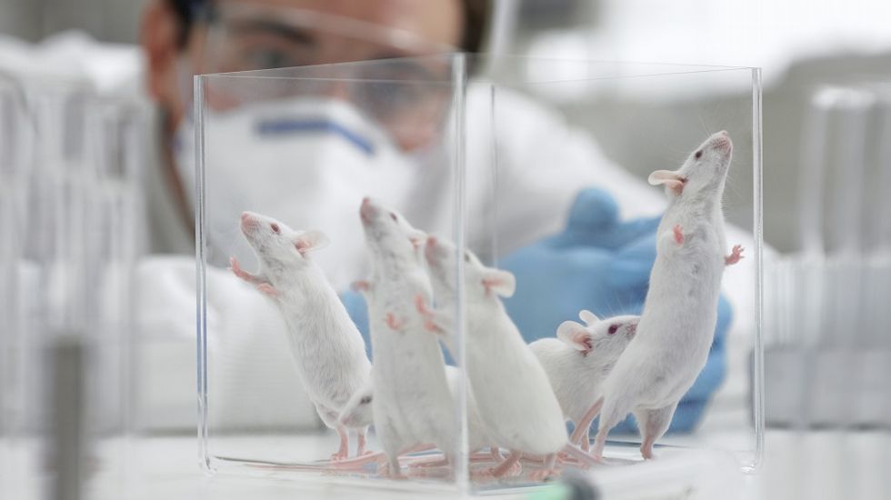 Los cient�ficos, a la calle; la ciencia, al raso.El consejero de Empleo Francisco Blanco
