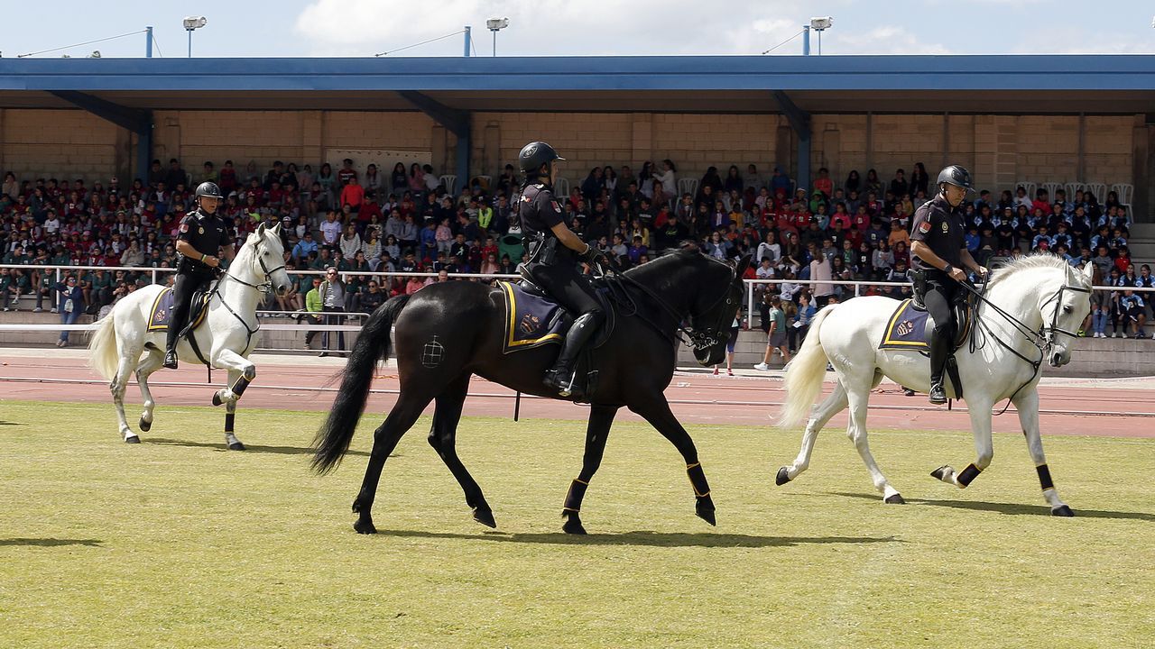 Exhibicion de la Policía Nacional para los escolares de Ribeira con helicoptero, caballería, perros de rastreo
