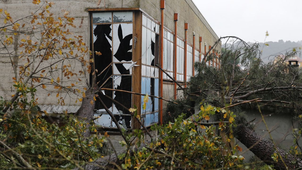 ASÍ HA CASTIGADO EL TEMPORAL A OURENSE.Las comarcas de A Limia y de Verín han sufrido daños en el campo y en edificaciones