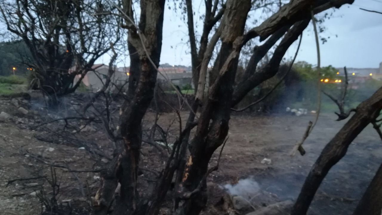 Terreno calcinado en el entorno del Ágora de A Coruña