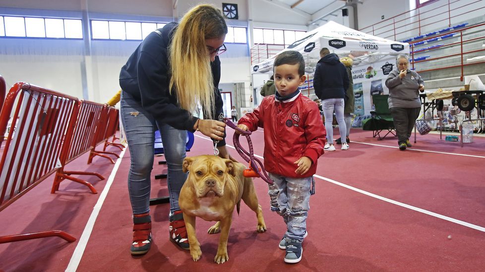 III Exposición Canina de Ponte Caldelas
