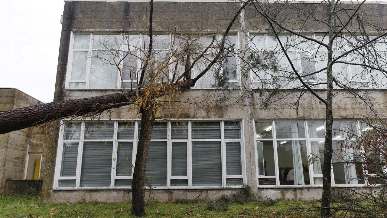 ASÍ HA CASTIGADO EL TEMPORAL A OURENSE.Las comarcas de A Limia y de Verín han sufrido daños en el campo y en edificaciones