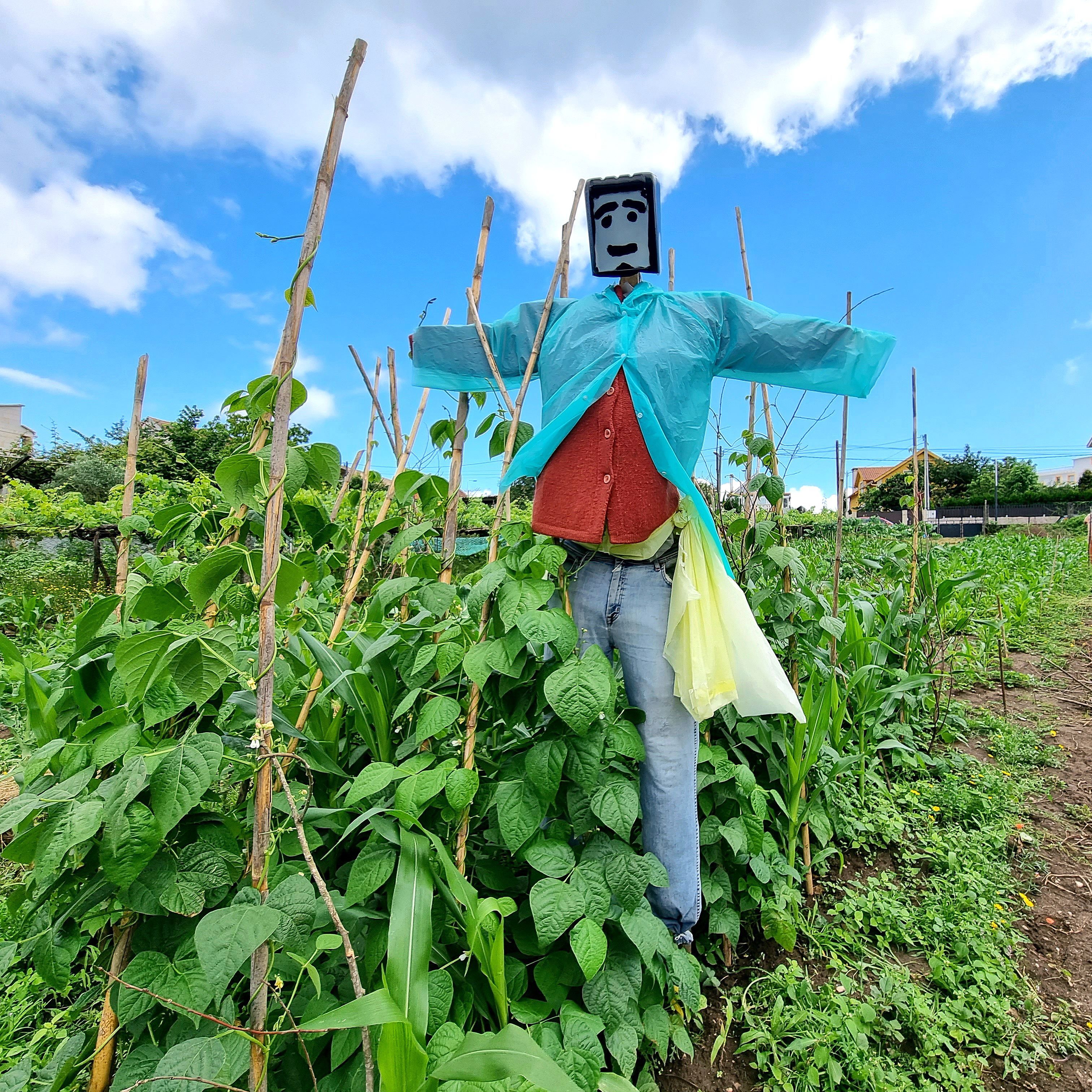 Espantallo en Cangas do Morrazo. 21/06/21