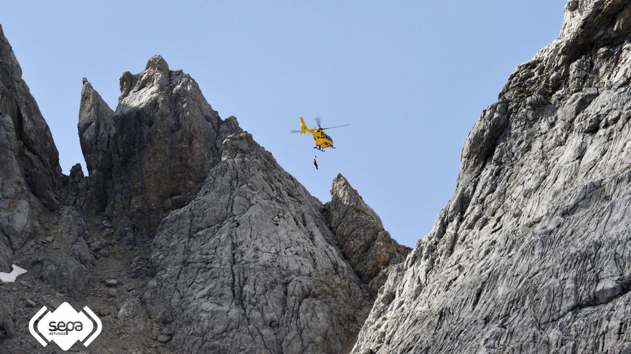 La agon�a de la osa de Proaza.Un helic�ptero realizando una evacuaci�n