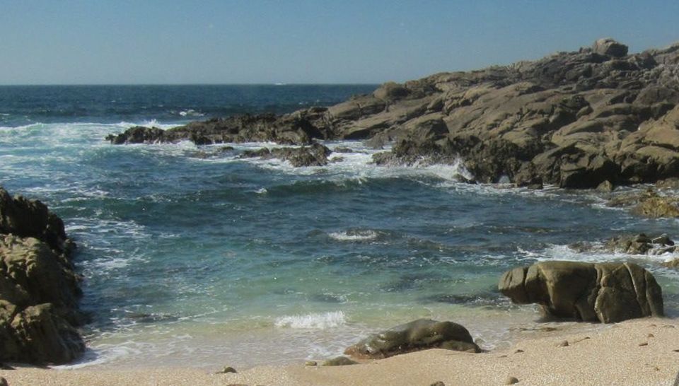 Ferrol