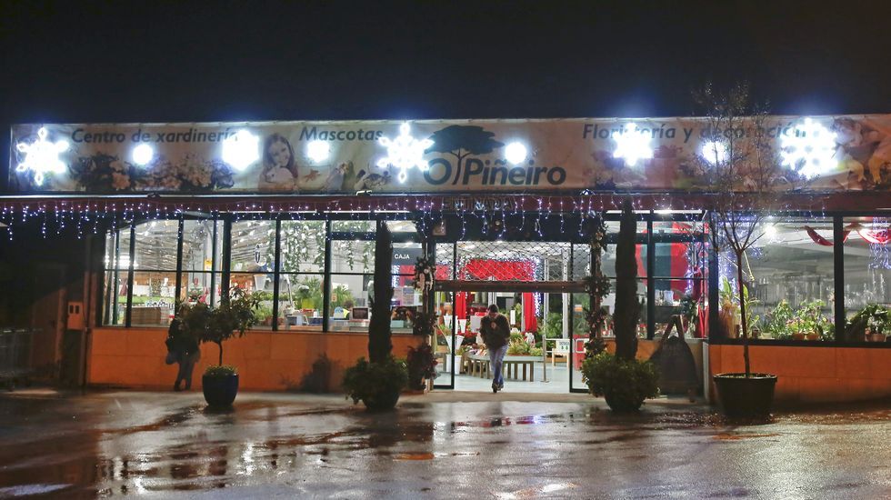 Navidad en Viveiros O Piñeiro