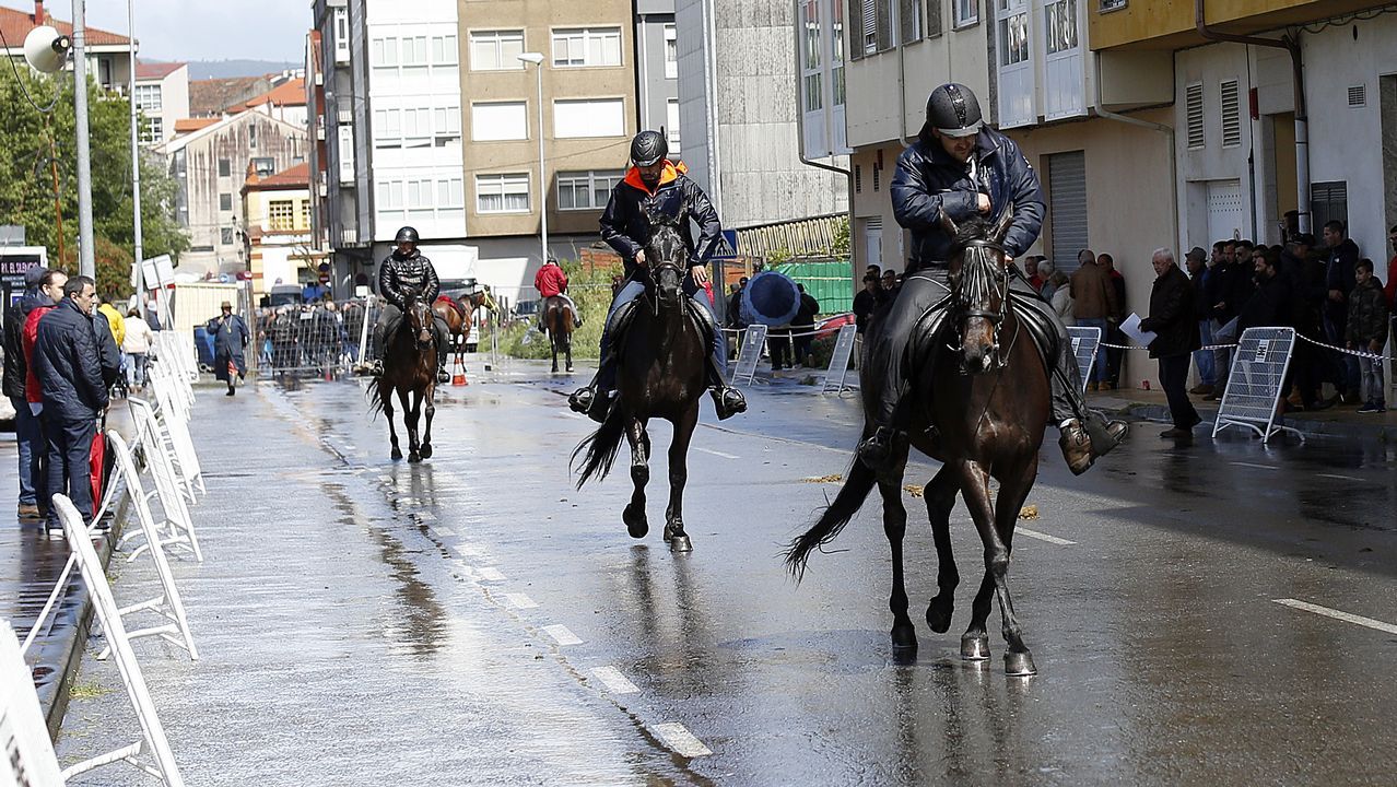 Feria caballar en las Fiestas de San Marcos 2019