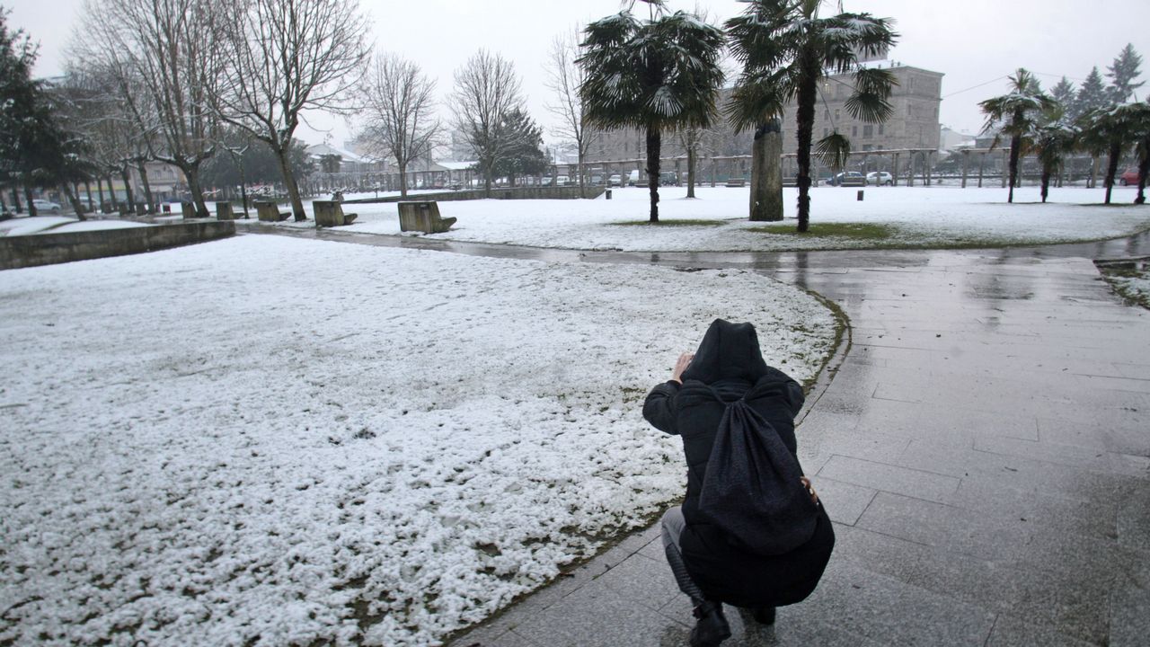 Nevada en Monforte