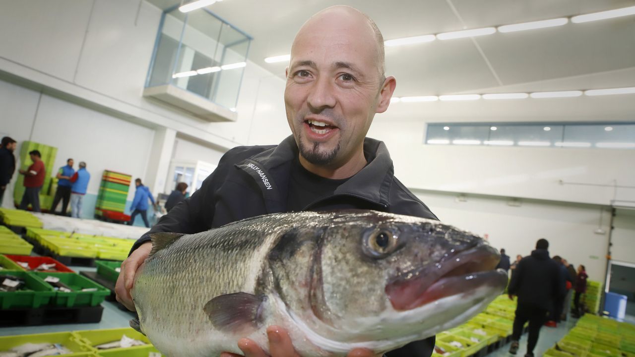 Tr�iler - ��rase una vez en Hollywood�.As rutinas son necesarias desde os primeiros anos de vida