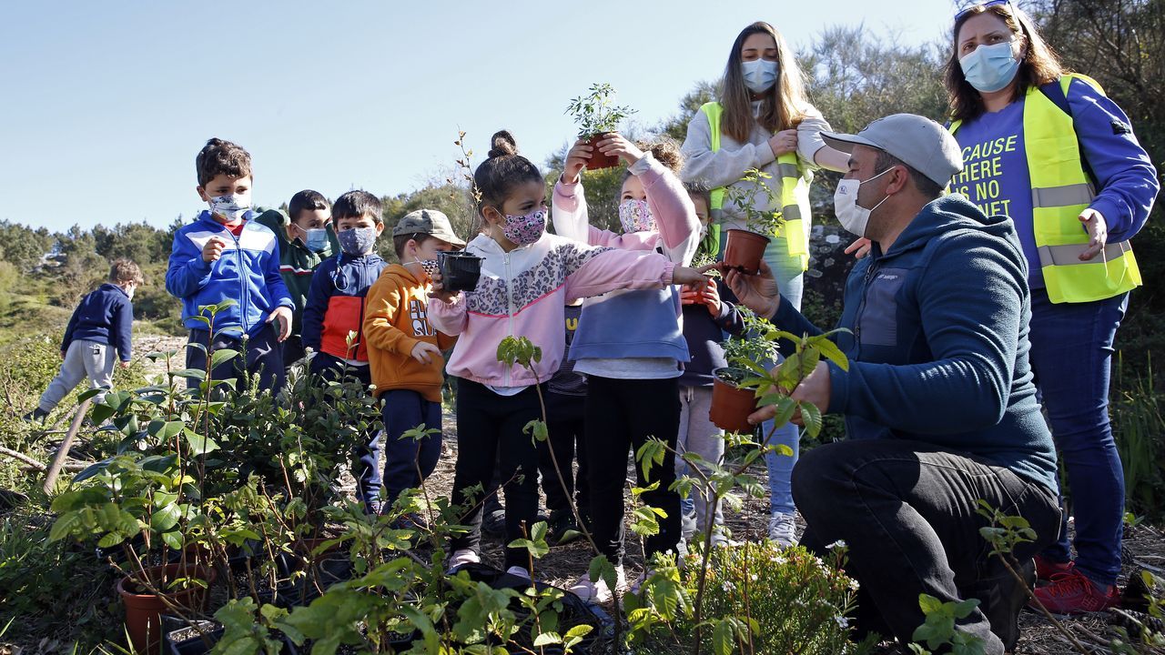 La comunidad de montes de Baroña continua con su bosque comestible