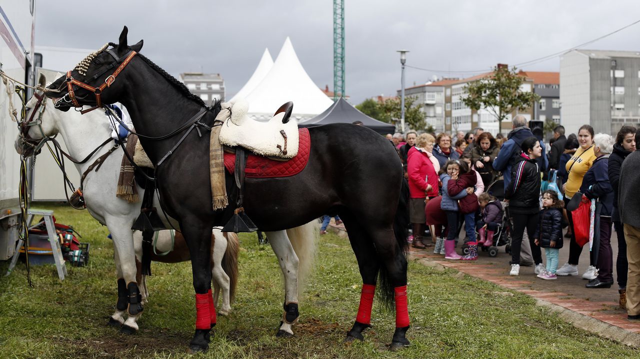 Feria caballar en las Fiestas de San Marcos 2019