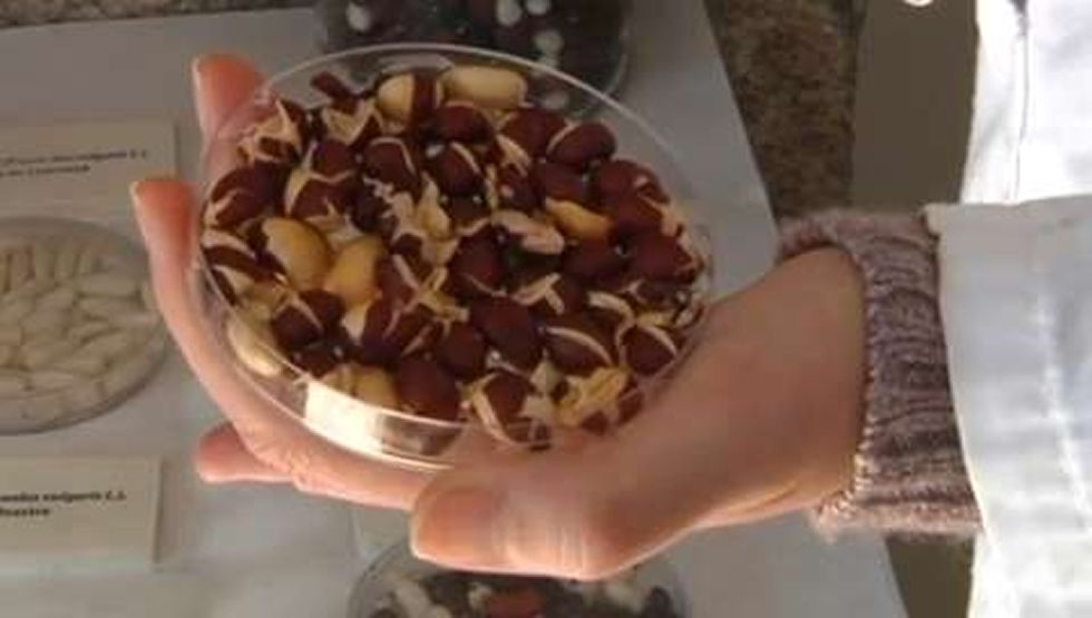 Llega el snack de jud&iacute;a made in Galicia