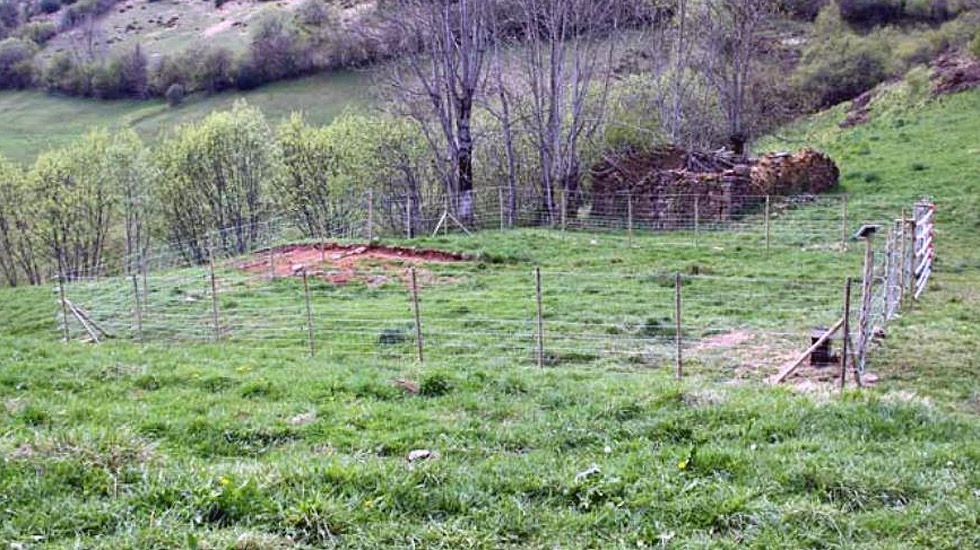 Cierre para proteger panales de abejas aconsejado por Fapas