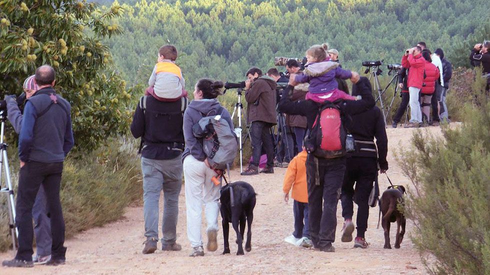 Imagen de la guía del Ministerio de Medio Ambiente sobre el turismo de observación y naturaleza, de J. Talegón