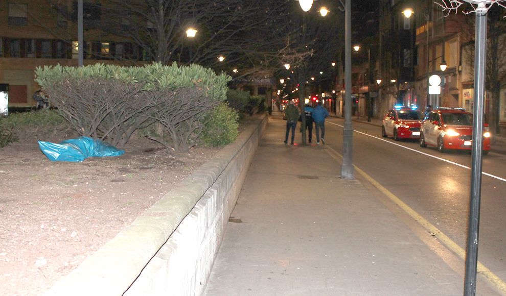 Una bolsa con los restos del jabalí, en la avenida Schulz
