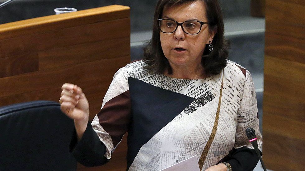 La consejera de Desarrollo Rural y Recursos Naturales, María Jesús Álvarez, en la Junta General