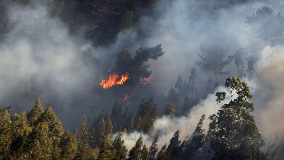 Uno de los incendios forestales registrado en el concejo asturiano de Llanes y en cuya extinción están trabajando los Bomberos del Servicio de Emergencias del Principado (SEPA).