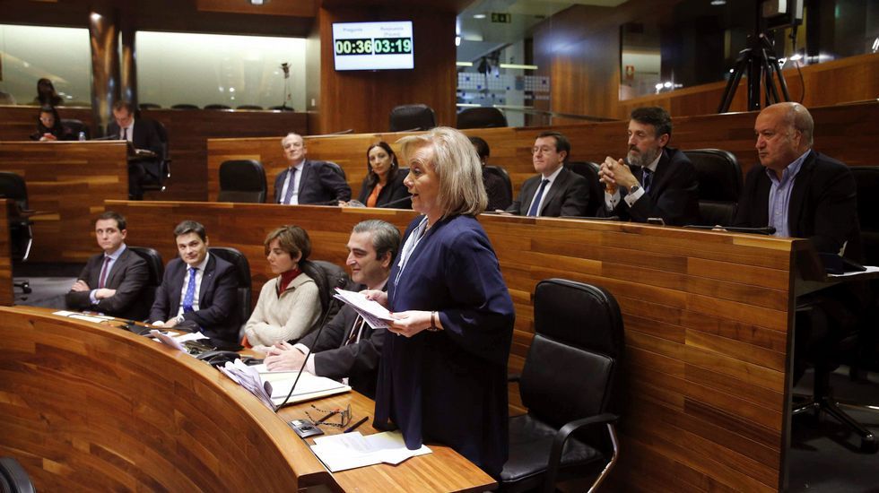 La presidenta del PP, Mercedes Fernández, durante su intervención en el pleno de la Junta General, con David González Medina, al fondo de la bancada