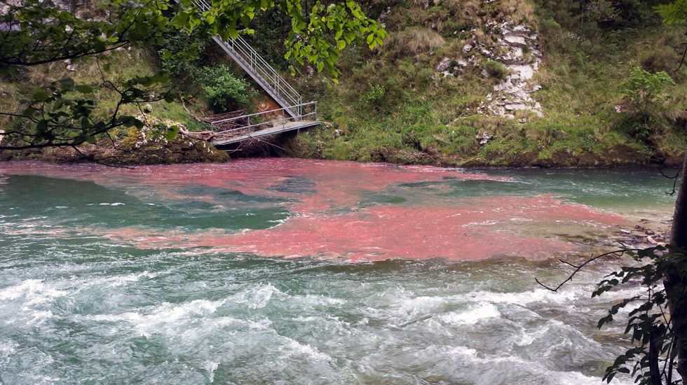 Vertidos de combustible al río Cares, en Niserias, como consecuencia del accidente de un cambión cisterna
