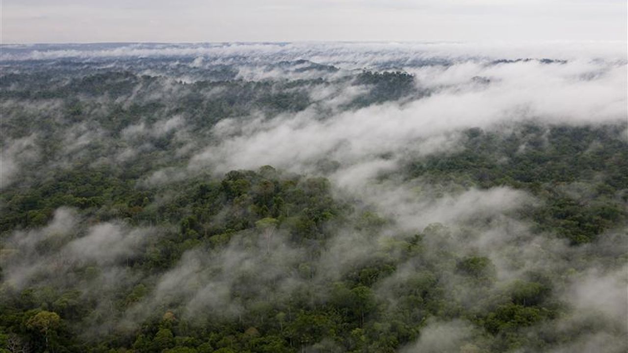 Algo sorprendente ocurre en el Amazonas