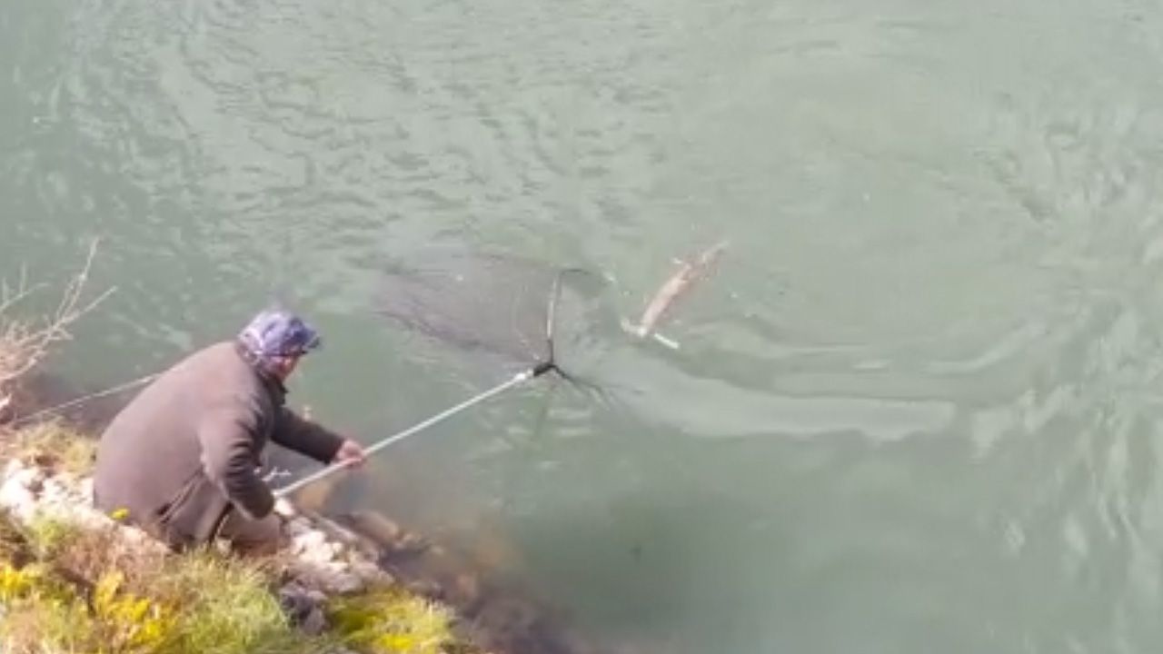 As&iacute; se pesc&oacute; el campanu