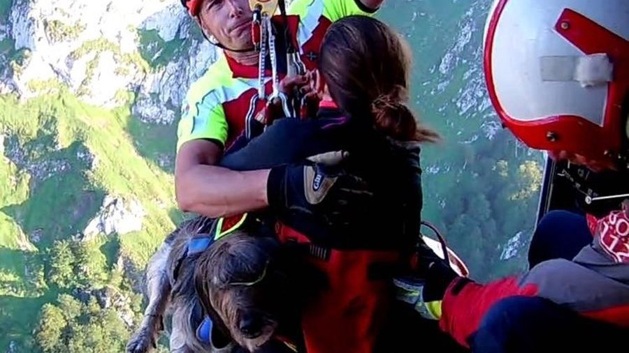 Dos senderistas y su perro, rescatados por un helic&oacute;ptero en Picos de Europa