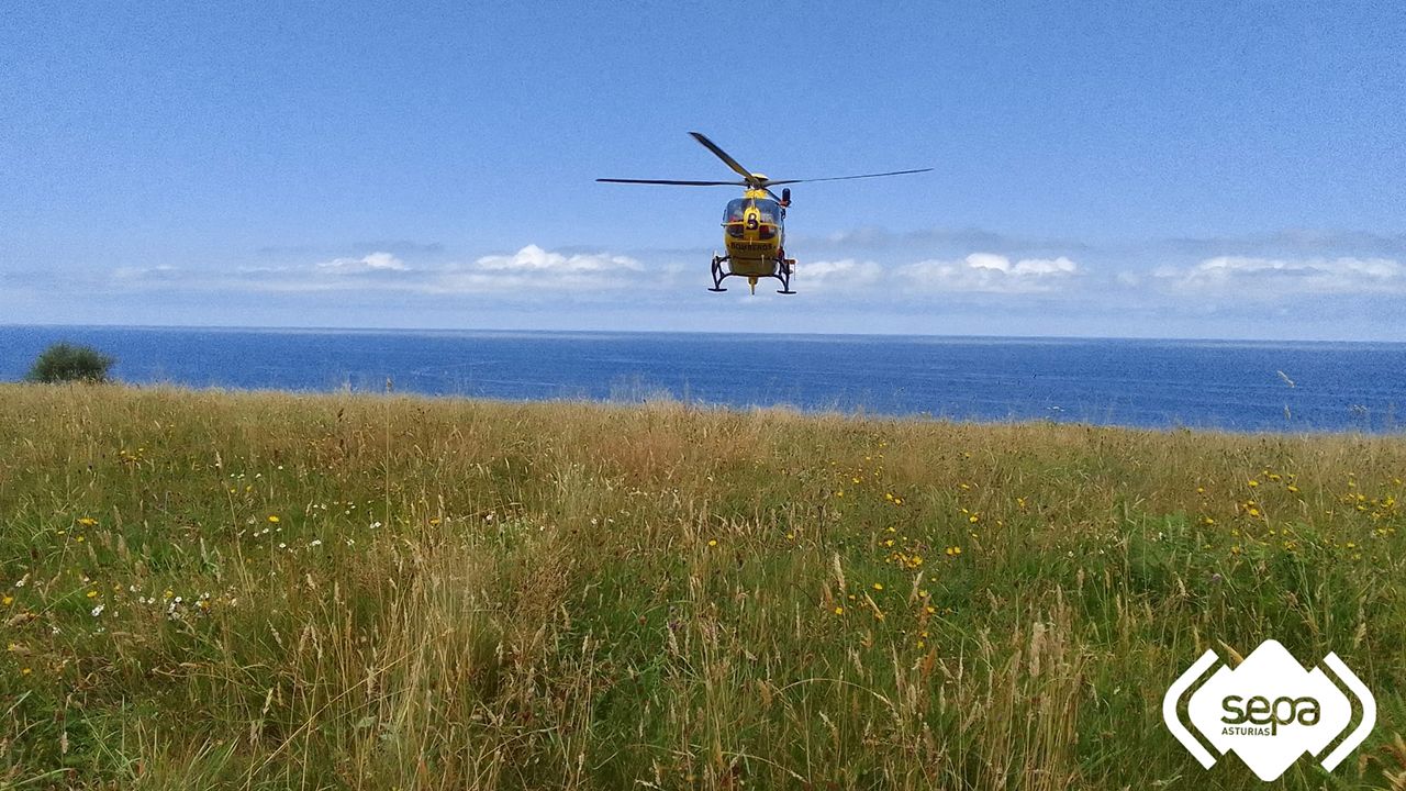 B&uacute;squeda en Llanes